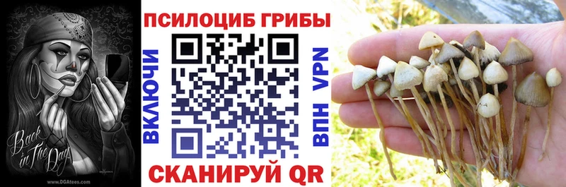 Галлюциногенные грибы мицелий  цены наркотик  Зея 